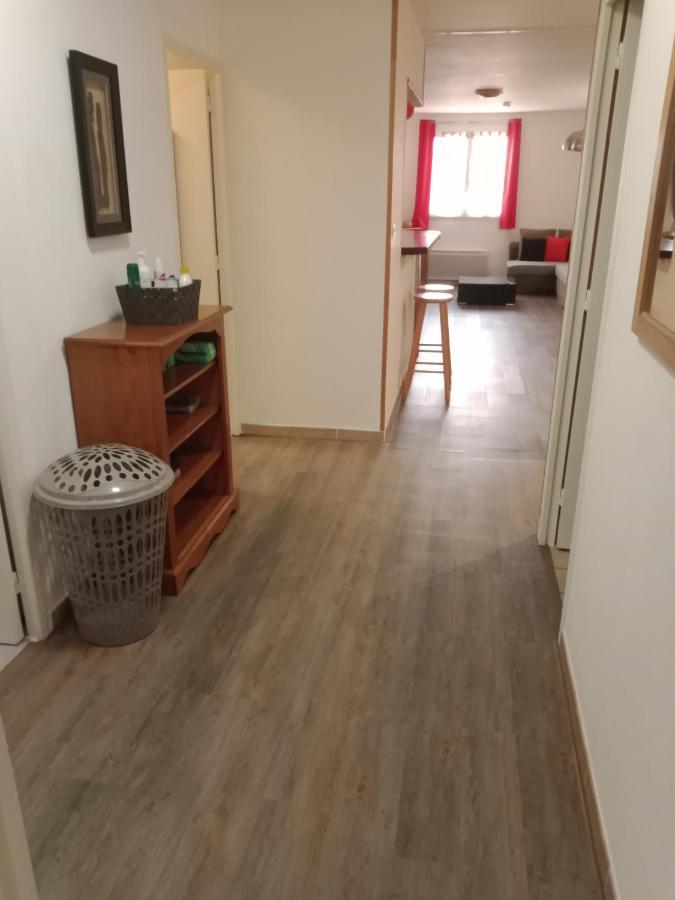 Superbe T3 De 85 Metres Carres Leilighet Toulouse Eksteriør bilde
