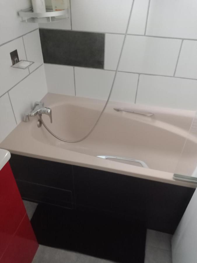 Superbe T3 De 85 Metres Carres Leilighet Toulouse Eksteriør bilde